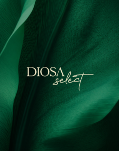 Diosa Select logotipas